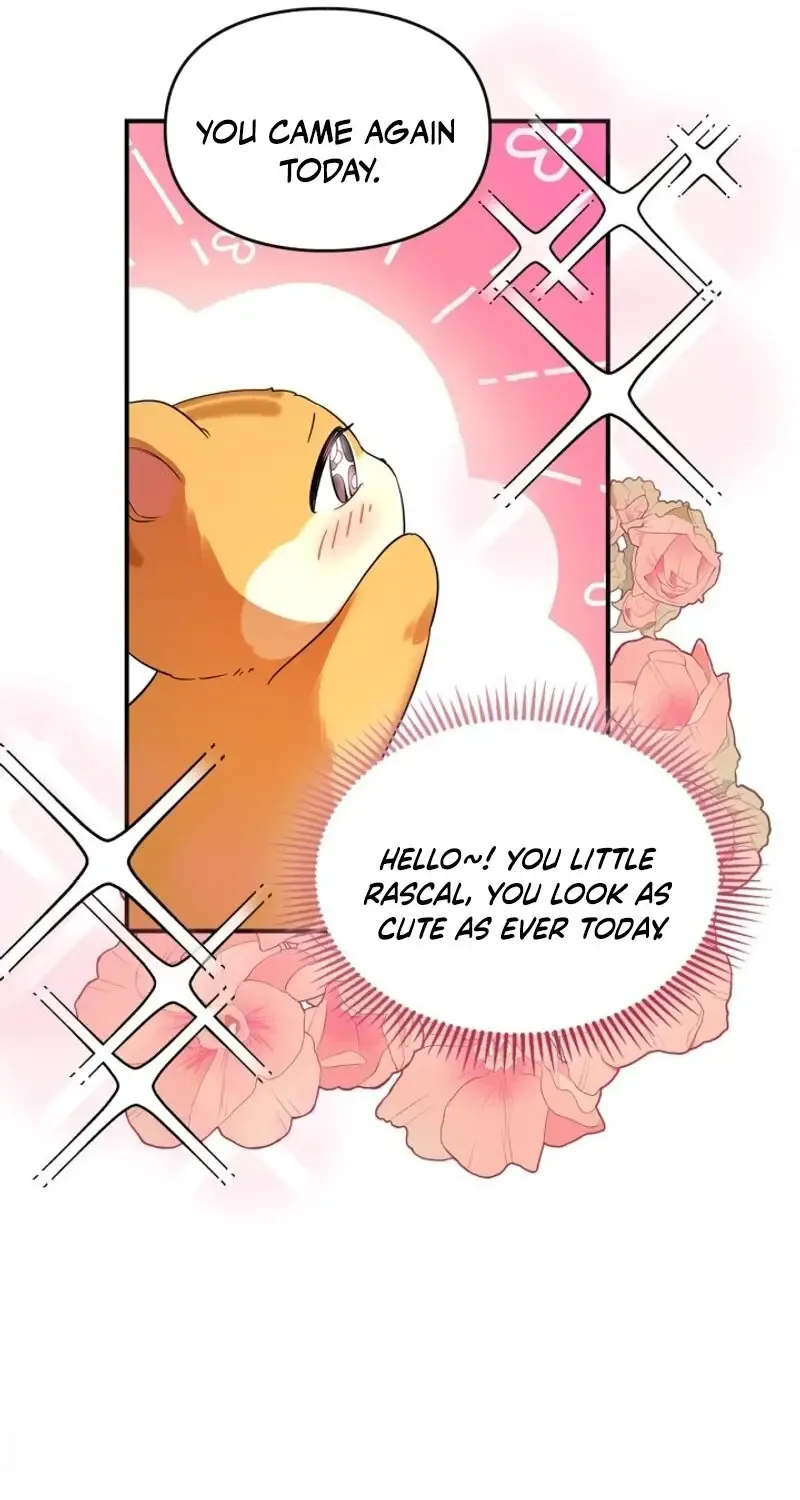 I Became A Squirrel Seeking For The Villain Zinmanga X Chapter 3 Page 37
