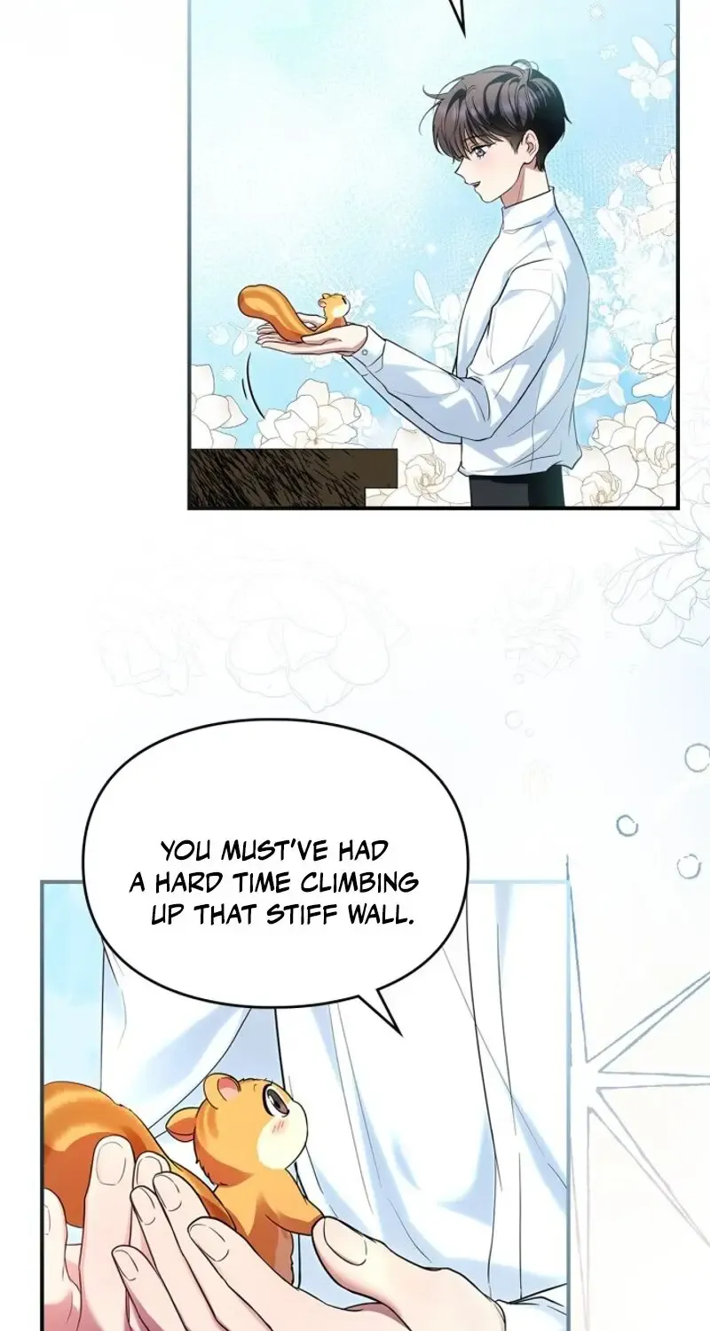 I Became A Squirrel Seeking For The Villain Zinmanga X Chapter 3 Page 39