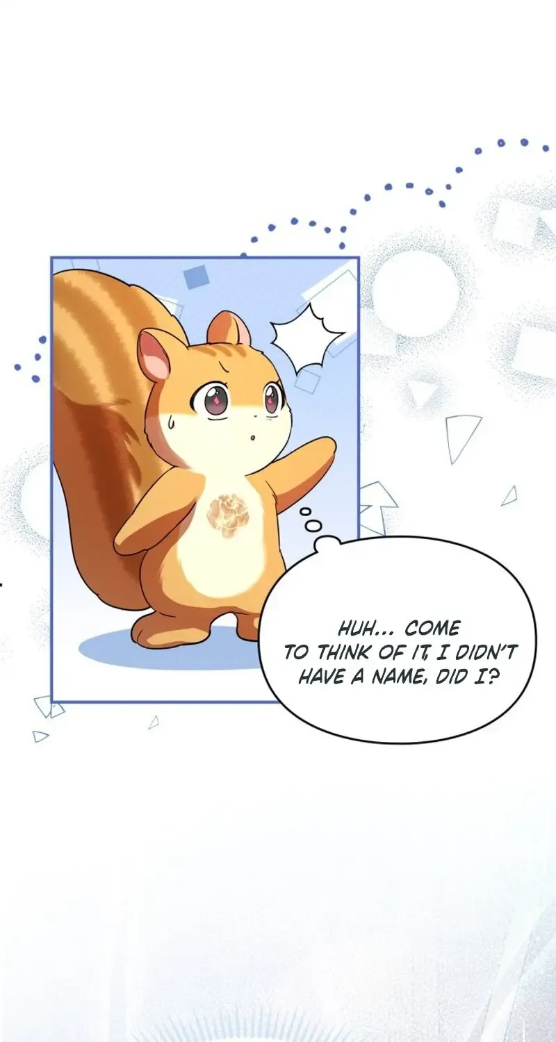 I Became A Squirrel Seeking For The Villain Zinmanga X Chapter 3 Page 50