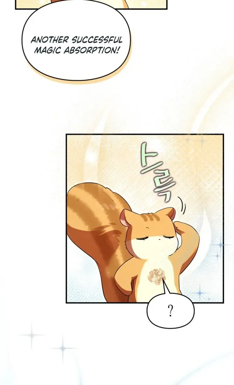 I Became A Squirrel Seeking For The Villain Zinmanga X Chapter 3 Page 67