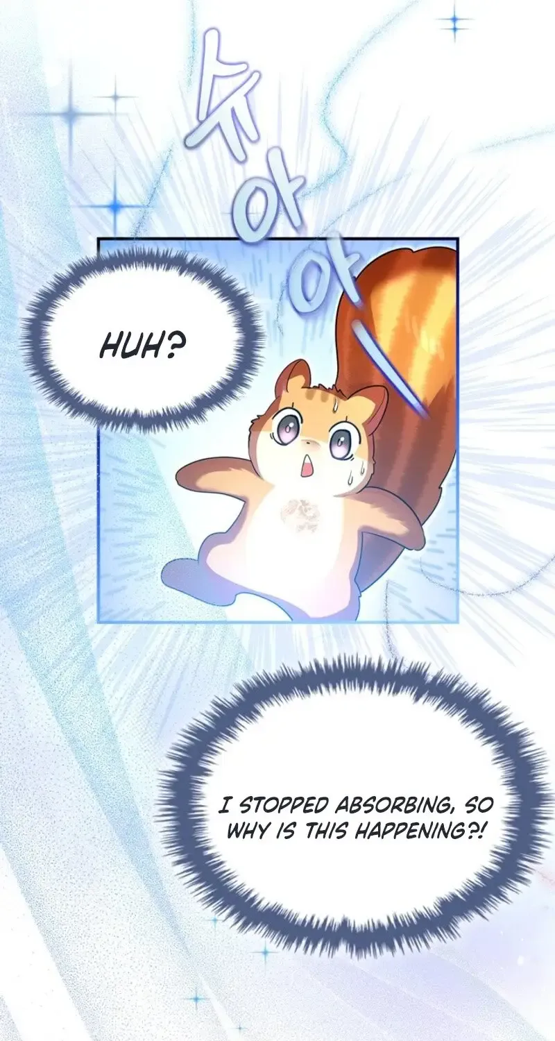 I Became A Squirrel Seeking For The Villain Zinmanga X Chapter 3 Page 68