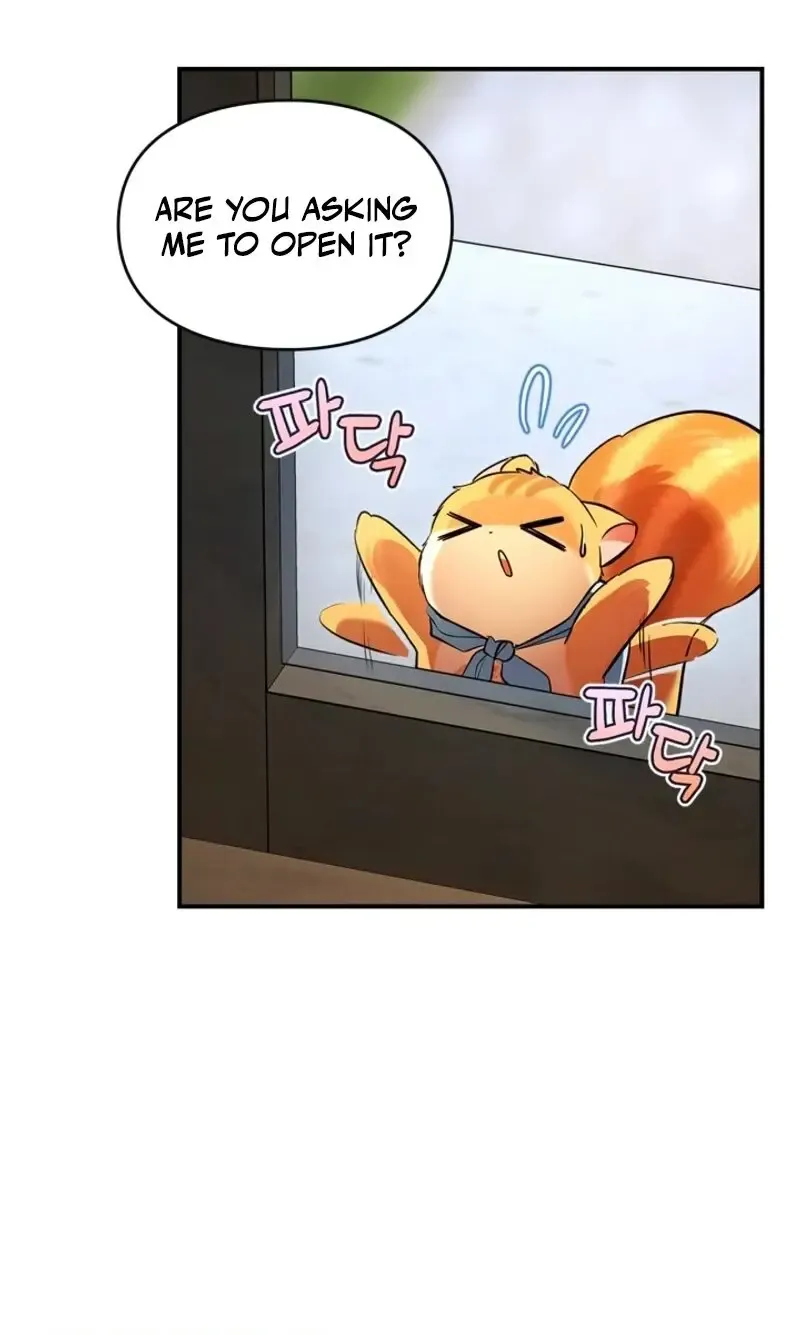 I Became A Squirrel Seeking For The Villain Zinmanga X Chapter 2 Page 5