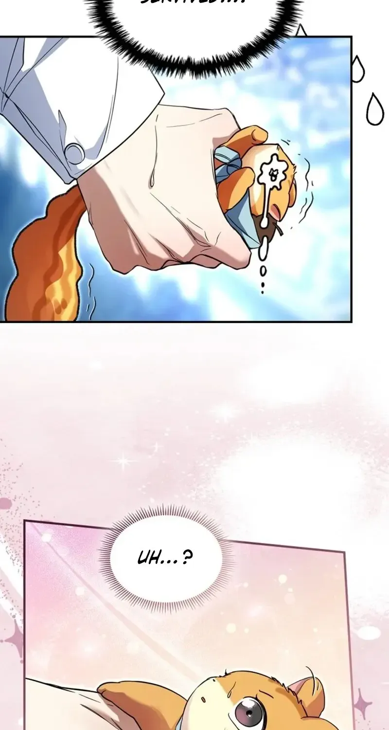 I Became A Squirrel Seeking For The Villain Zinmanga X Chapter 2 Page 14