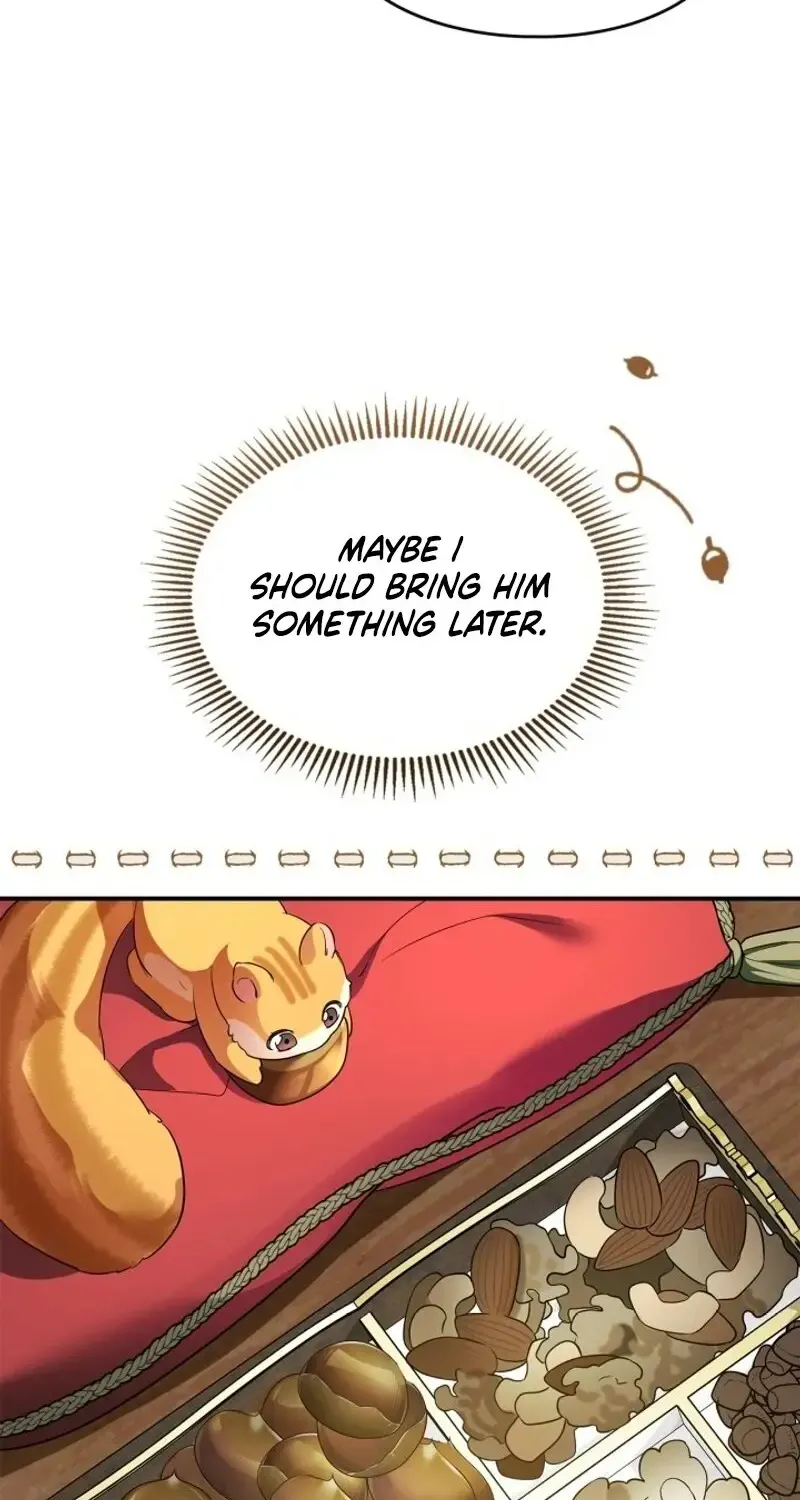 I Became A Squirrel Seeking For The Villain Zinmanga X Chapter 1 Page 64