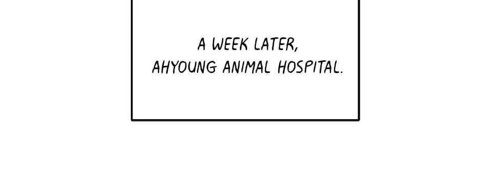 The Legendary Beasts Animal Hospital Zinmanga X Chapter 37 Page 50