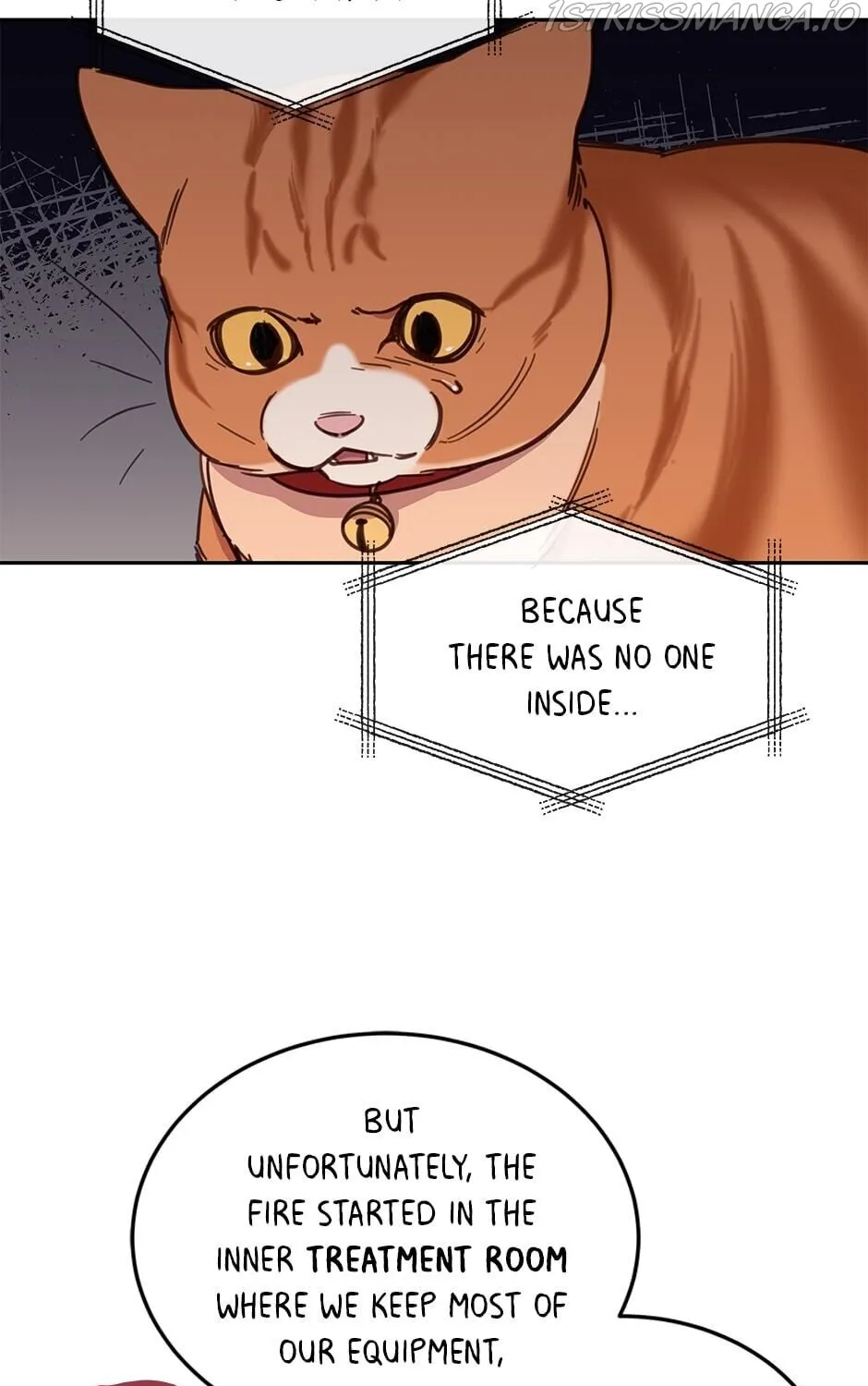 The Legendary Beasts Animal Hospital Zinmanga X Chapter 28 Page 29