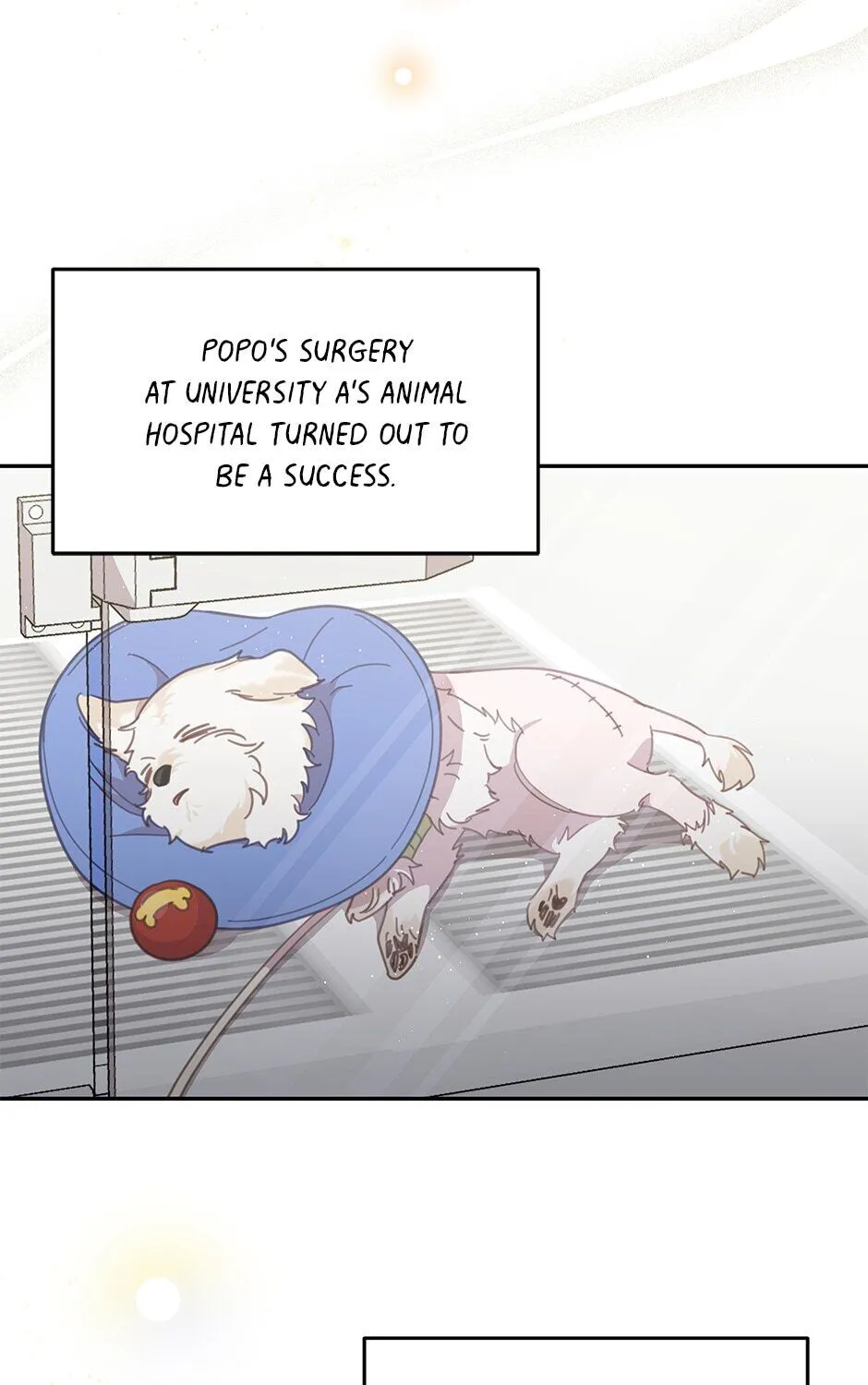 The Legendary Beasts Animal Hospital Zinmanga X Chapter 20 Page 35
