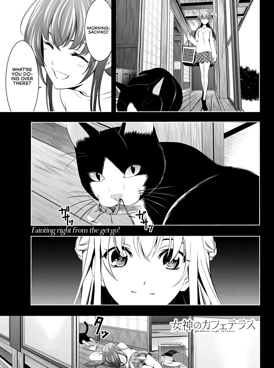 Goddess Café Terrace Zinmanga X Chapter 46 Page 2