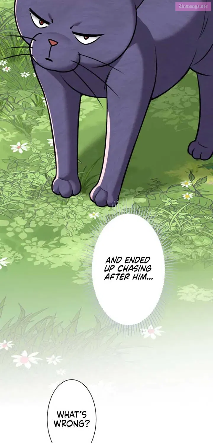 I Became A Tutor To Protect My Sister Zinmanga X Chapter 4 Page 74