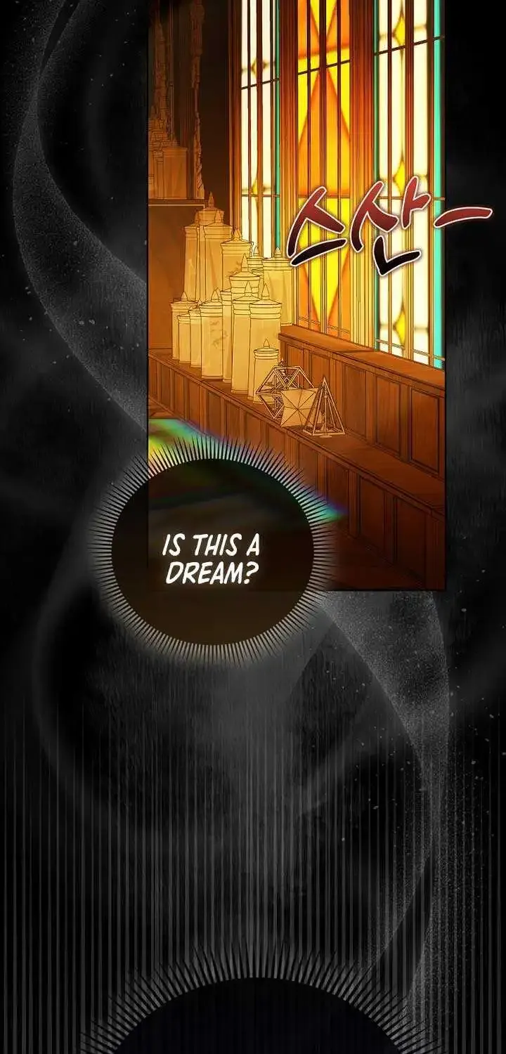 The Villanins Favorite Is Me Zinmanga X Chapter 17 Page 3