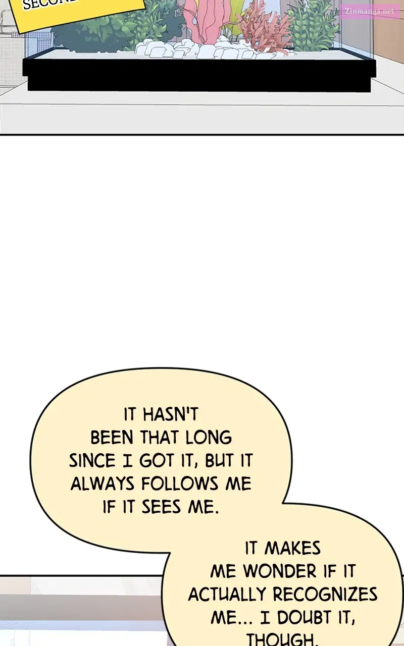 The Fish I Loved Zinmanga X Chapter 25 Page 19