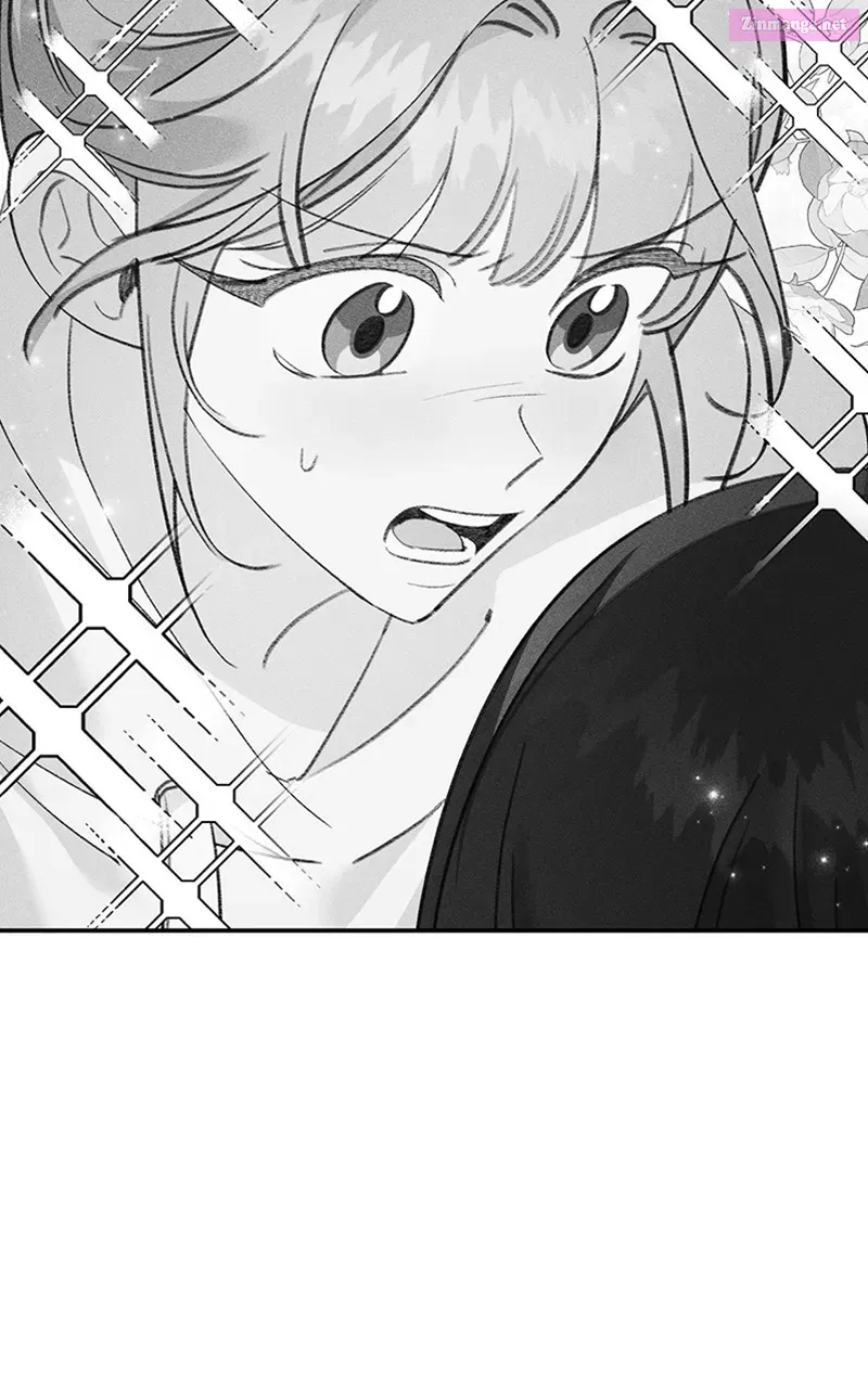 The Fish I Loved Zinmanga X Chapter 17 Page 5