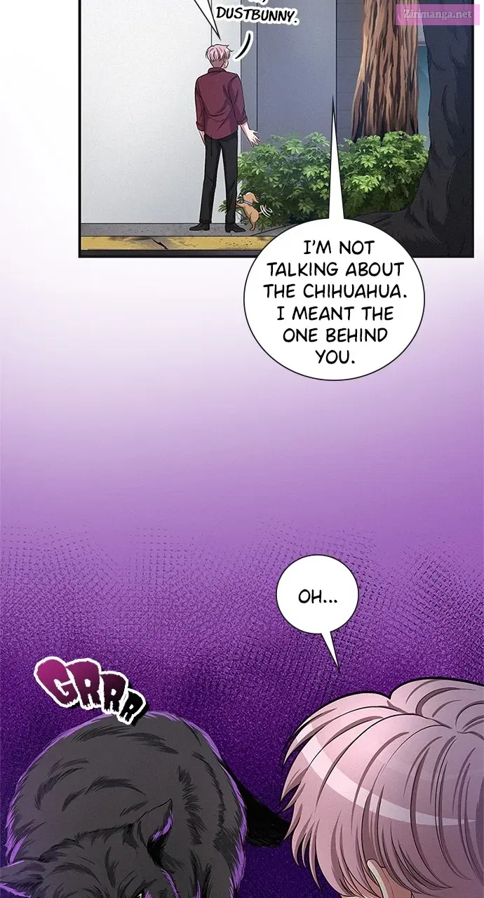 K.O! Zinmanga X Chapter 24 Page 12