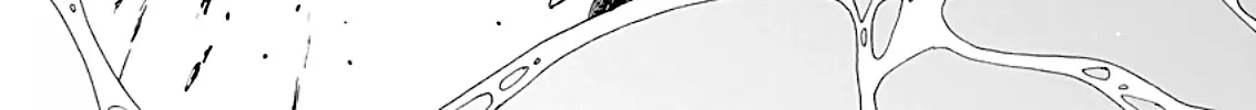 Taiyou to Tsuki no Hagane Zinmanga X Chapter 1 Page 61