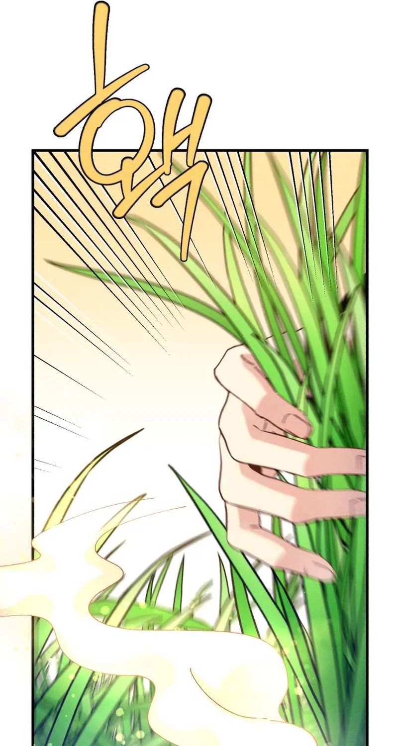 Lightning Degree Zinmanga X Chapter 162 Page 73