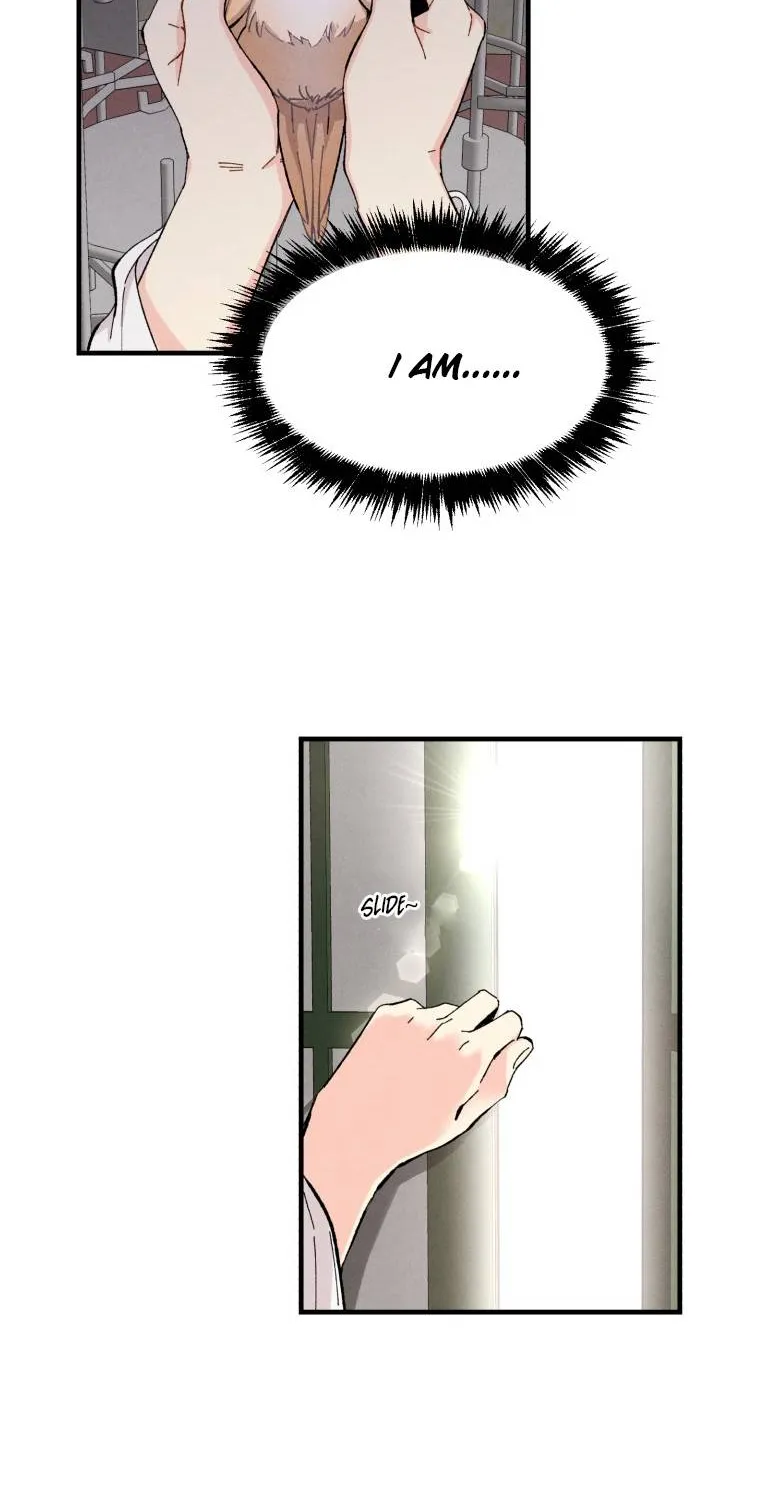 Lightning Degree Zinmanga X Chapter 21 Page 37