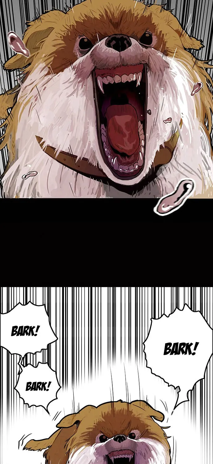 Troll Trap Zinmanga X Chapter 1 Page 4