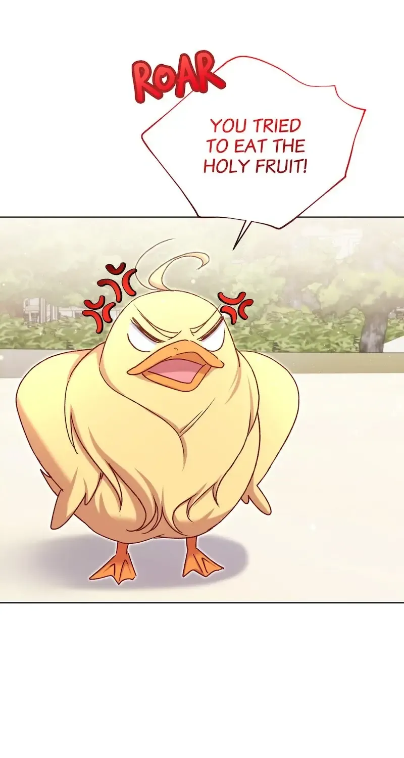 The Supporting Duck Waiting For The Breakup Zinmanga X Chapter 23 Page 70