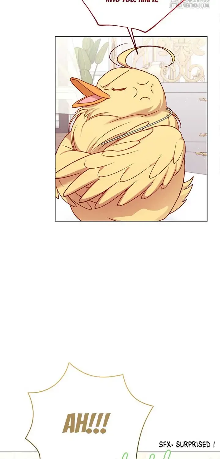 The Supporting Duck Waiting For The Breakup Zinmanga X Chapter 9 Page 51