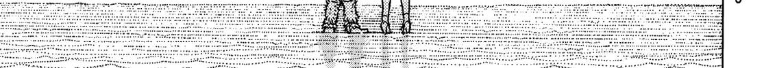 To You, The Immortal Zinmanga X Chapter 132.1 Page 25