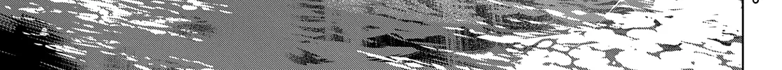 The Cuckoo's Fiancee Zinmanga X Chapter 112 Page 39