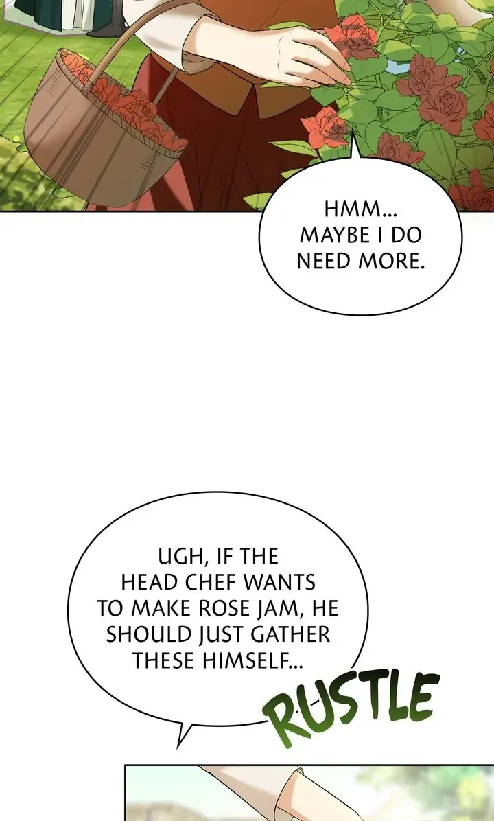The Fairy Legacy Zinmanga X Chapter 12 Page 63