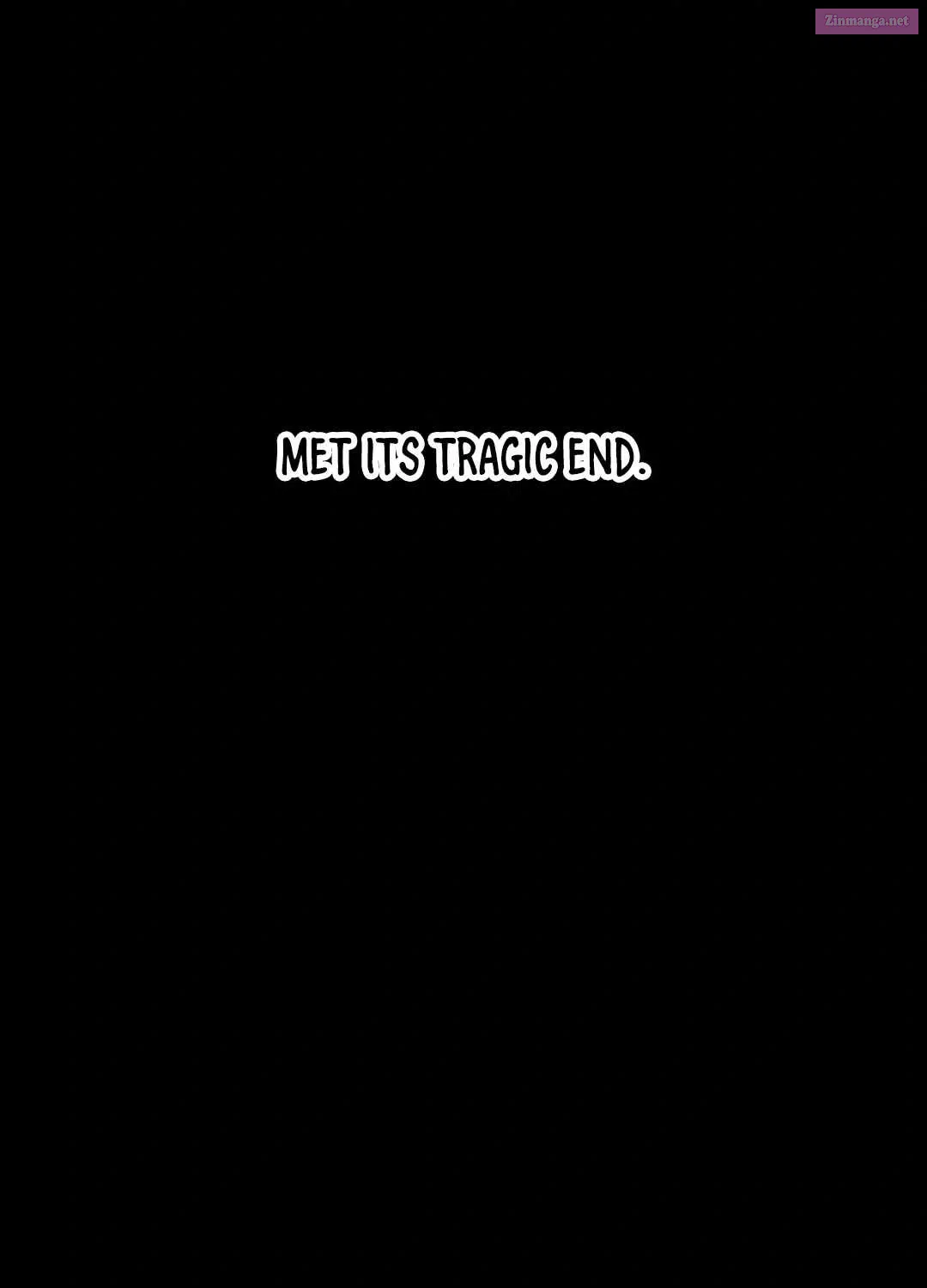 Lantern Of The Dawn Zinmanga X Chapter 36 Page 9