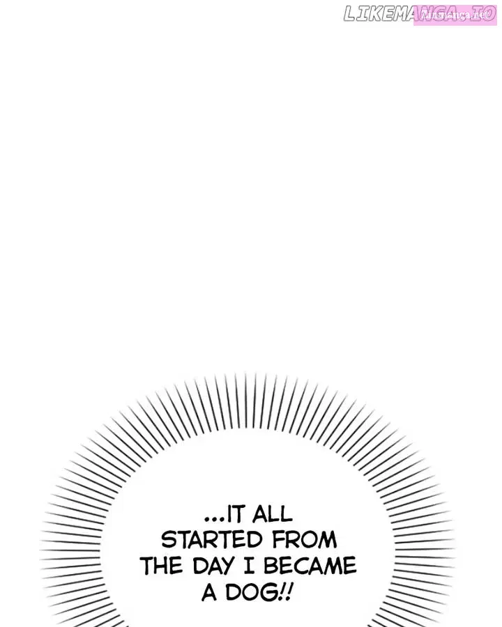 How to Hold X’s Leash Zinmanga X Chapter 31 Page 31
