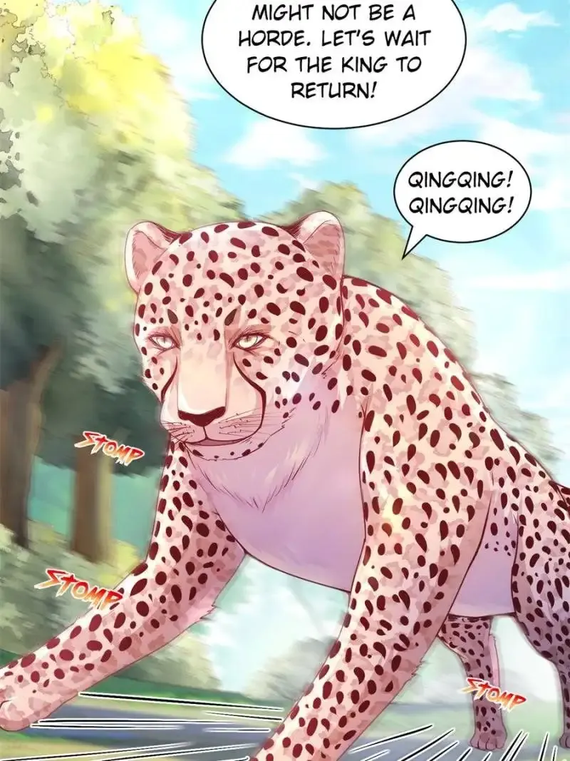 Beauty and the Beasts Zinmanga X Chapter 627 Page 6