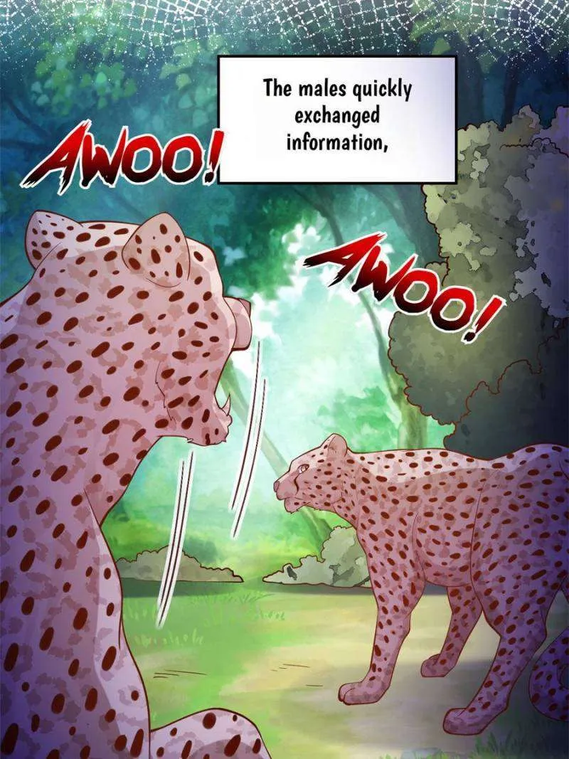 Beauty and the Beasts Zinmanga X Chapter 626 Page 27