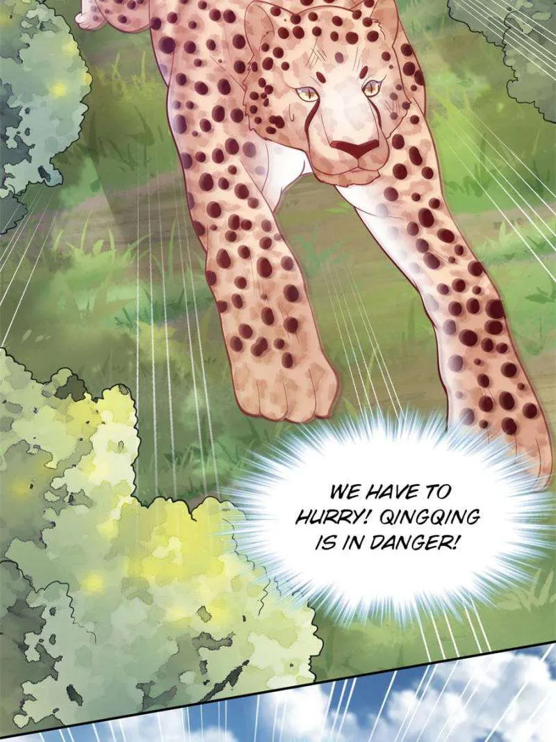 Beauty and the Beasts Zinmanga X Chapter 626 Page 33