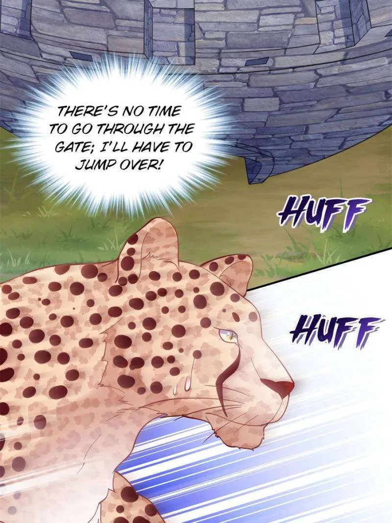 Beauty and the Beasts Zinmanga X Chapter 626 Page 37