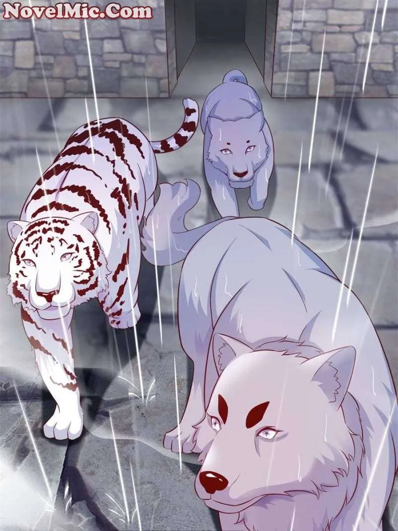 Beauty and the Beasts Zinmanga X Chapter 620 Page 23