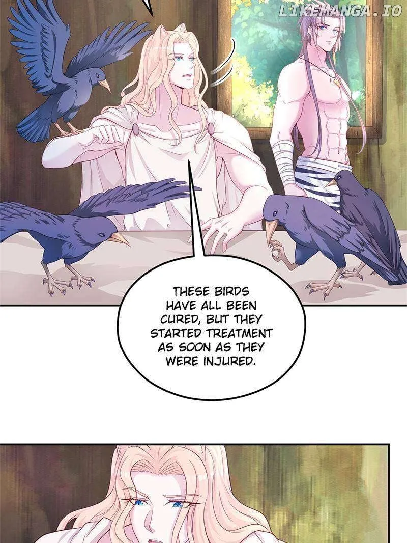Beauty and the Beasts Zinmanga X Chapter 612 Page 4