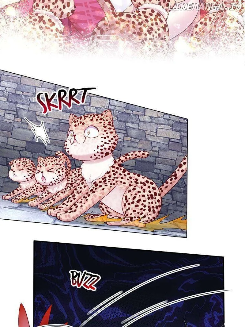 Beauty and the Beasts Zinmanga X Chapter 600 Page 6