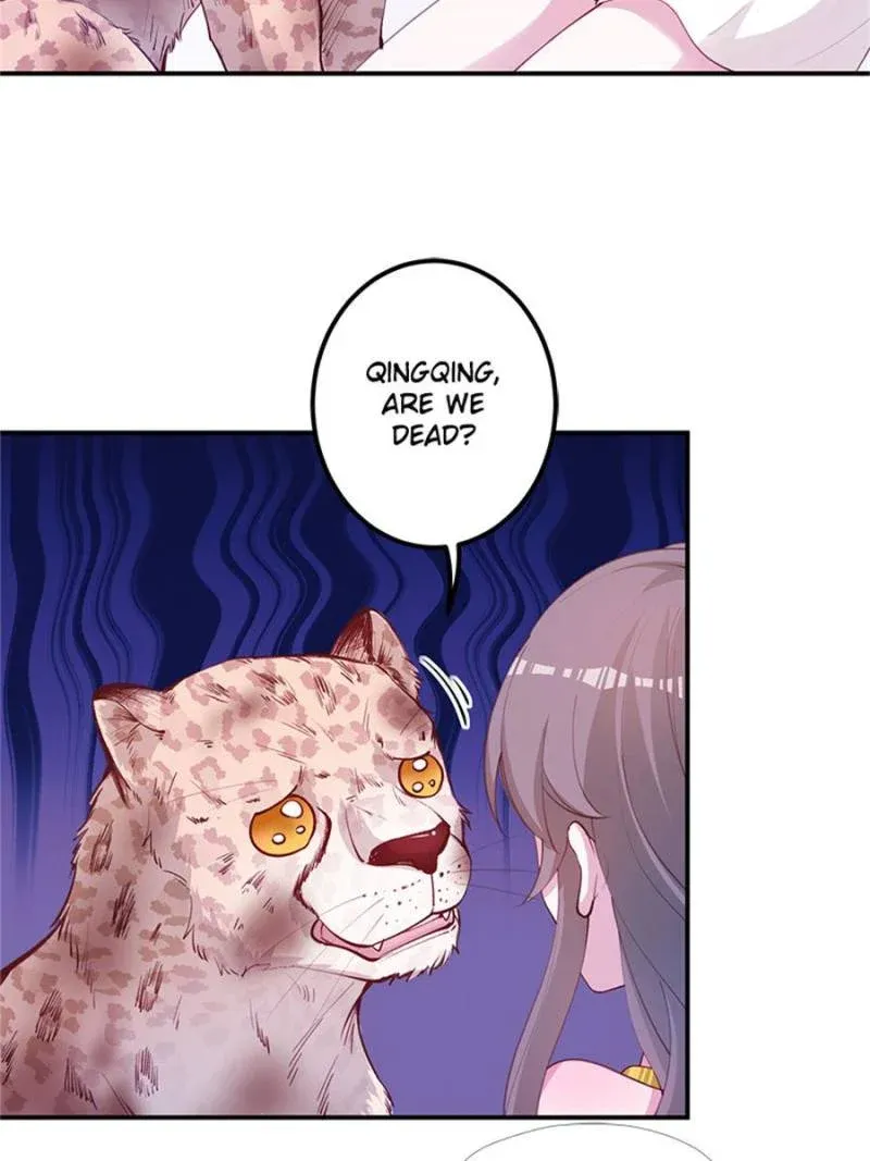 Beauty And The Beasts Zinmanga X Chapter 525 Page 52