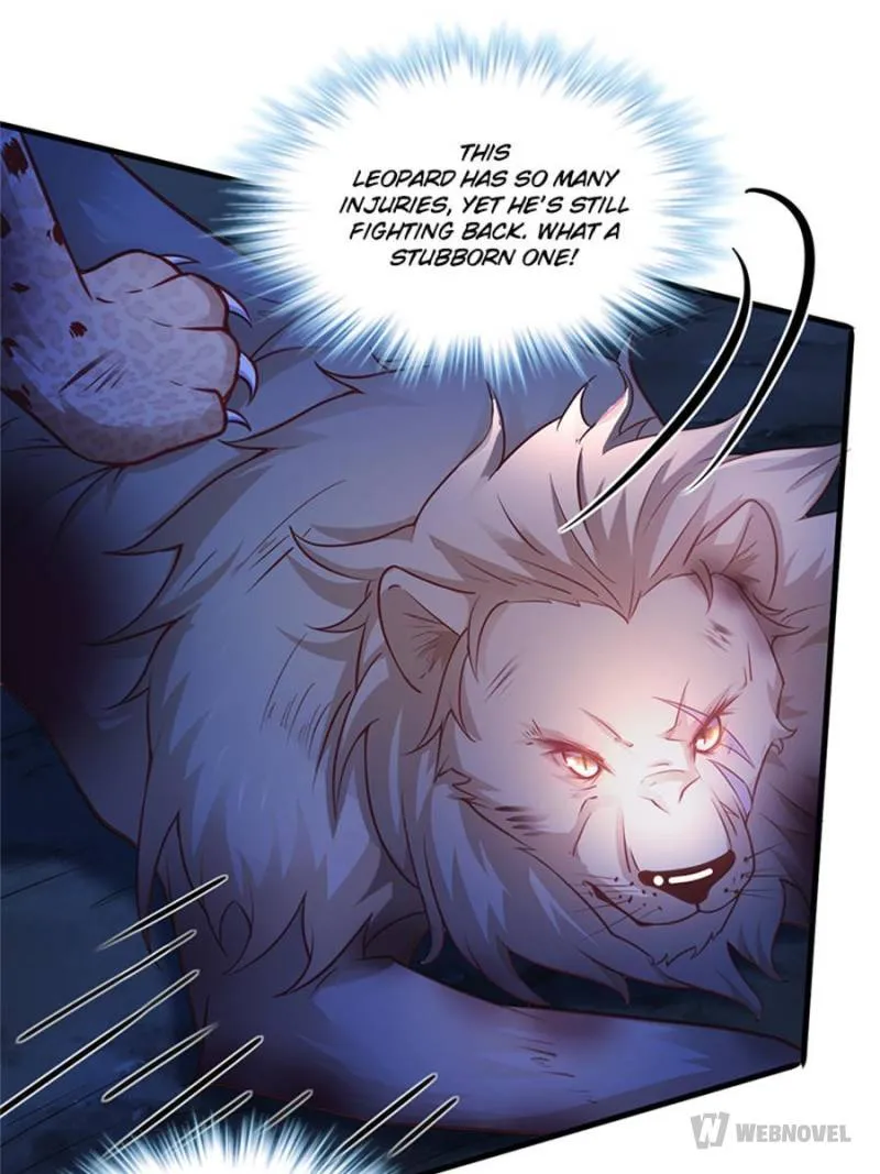Beauty And The Beasts Zinmanga X Chapter 519 Page 13