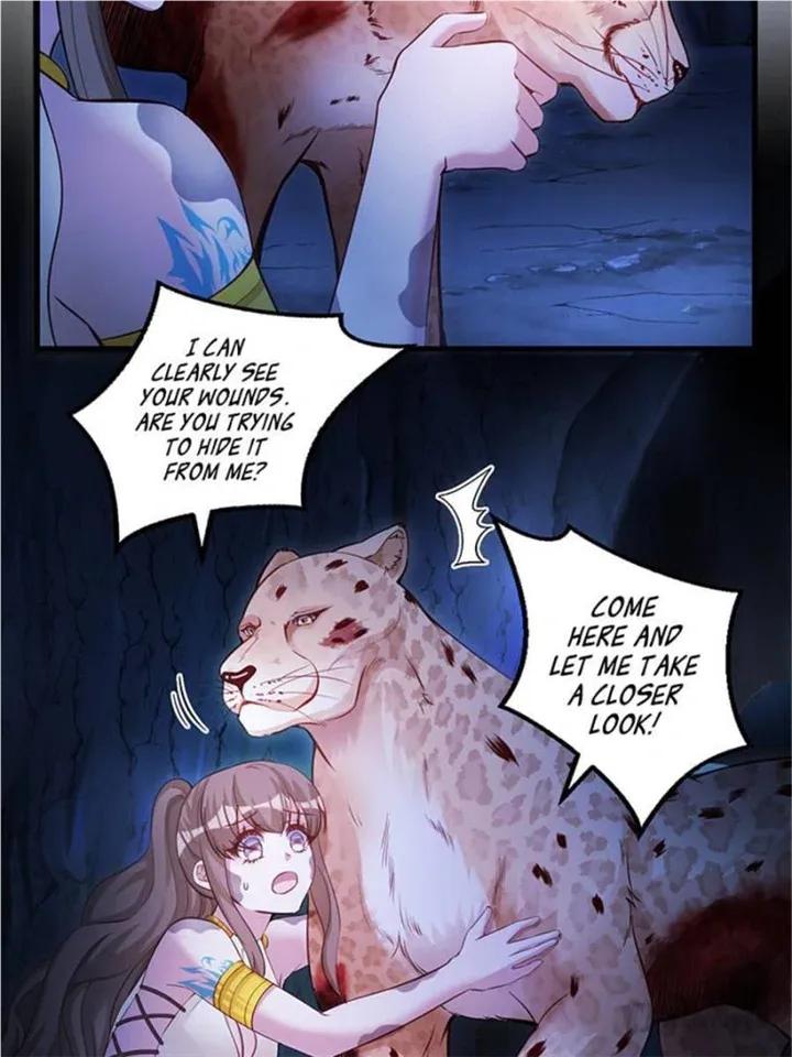 Beauty and the Beasts Zinmanga X Chapter 509 Page 3