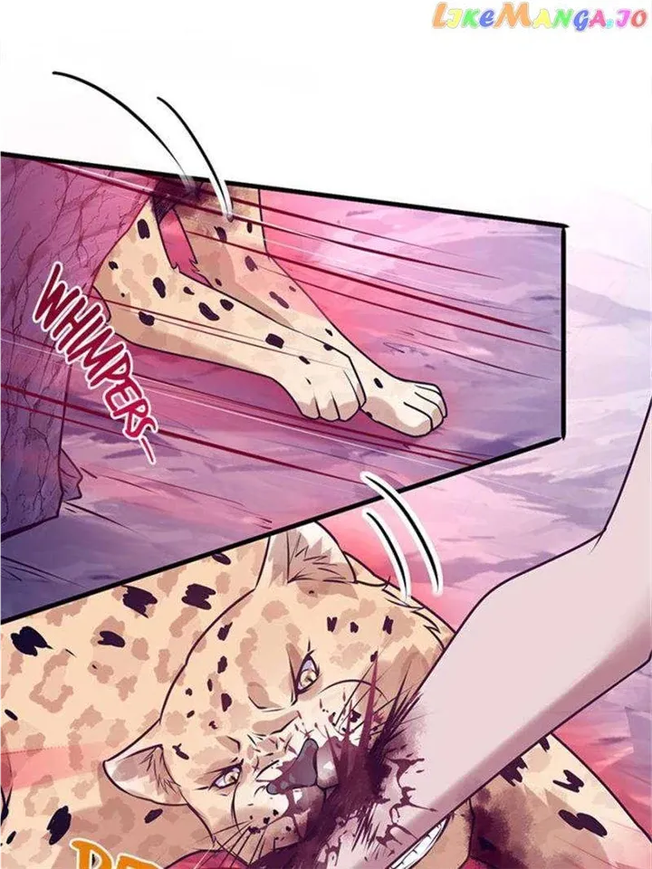 Beauty and the Beasts Zinmanga X Chapter 506 Page 2