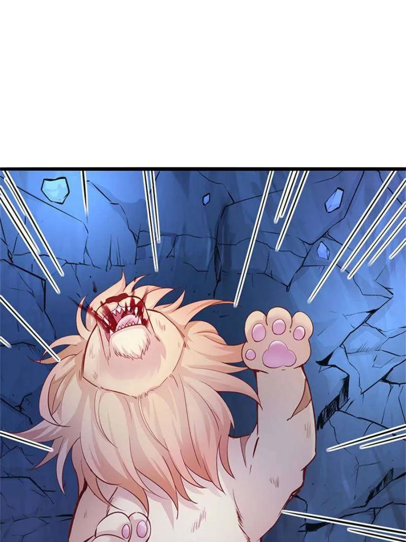 Beauty And The Beasts Zinmanga X Chapter 503 Page 9