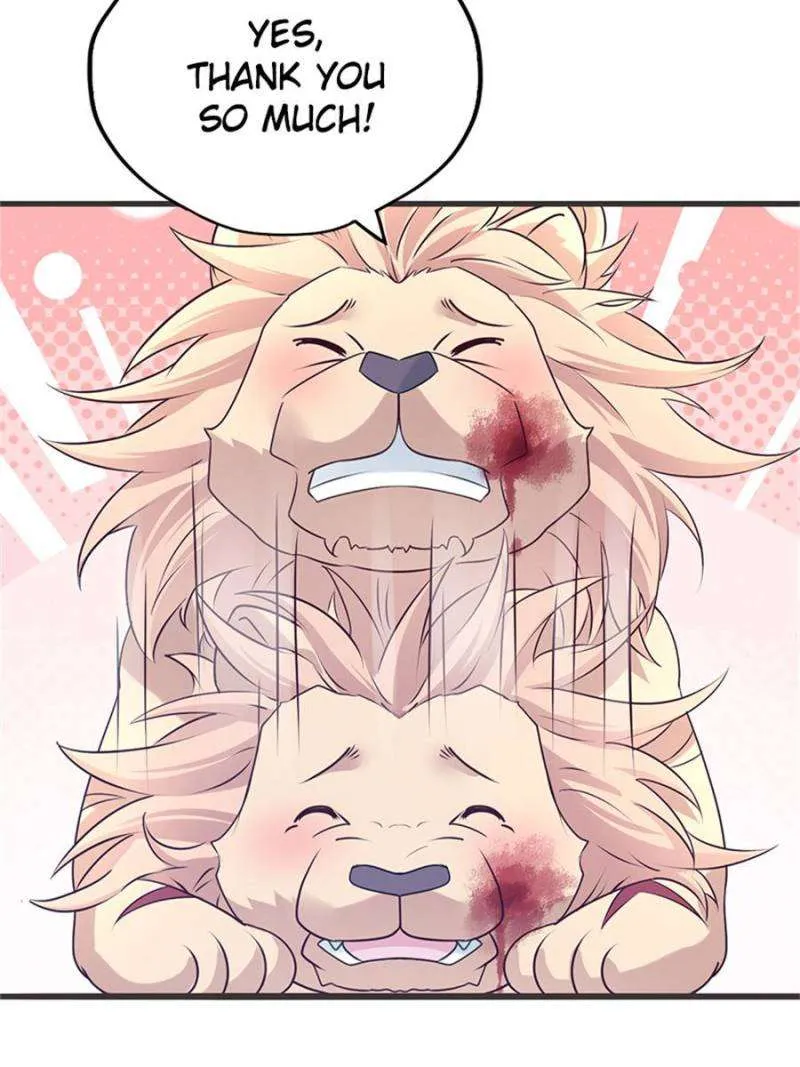 Beauty And The Beasts Zinmanga X Chapter 503 Page 41