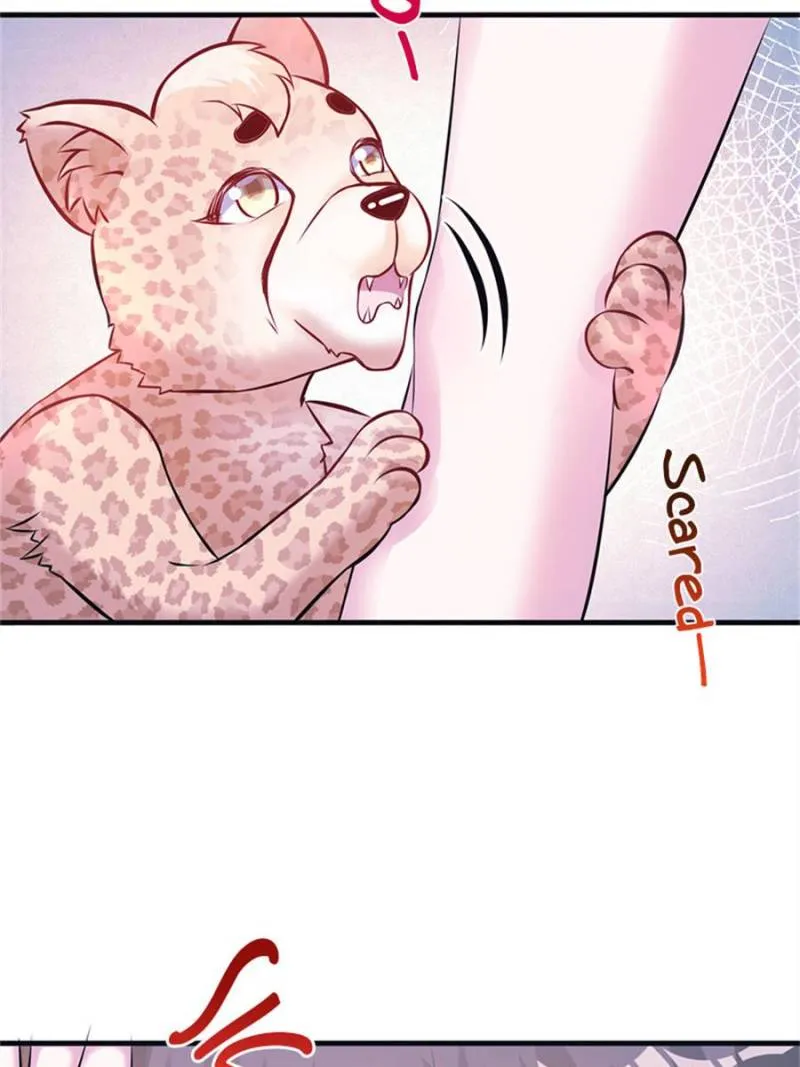 Beauty and the Beasts Zinmanga X Chapter 490 Page 44