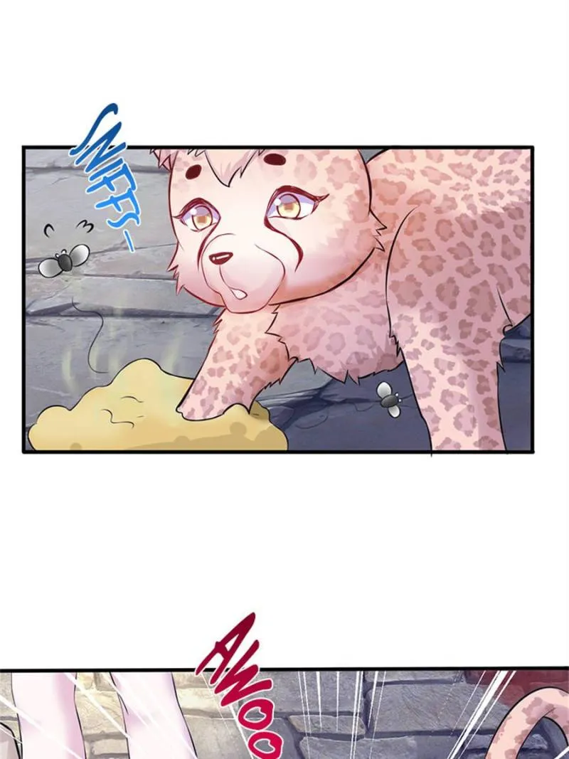 Beauty and the Beasts Zinmanga X Chapter 490 Page 48
