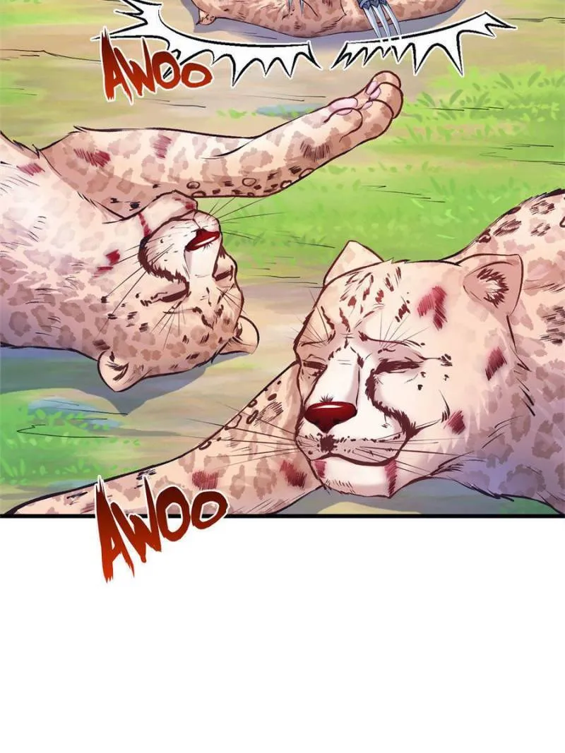 Beauty and the Beasts Zinmanga X Chapter 474 Page 3