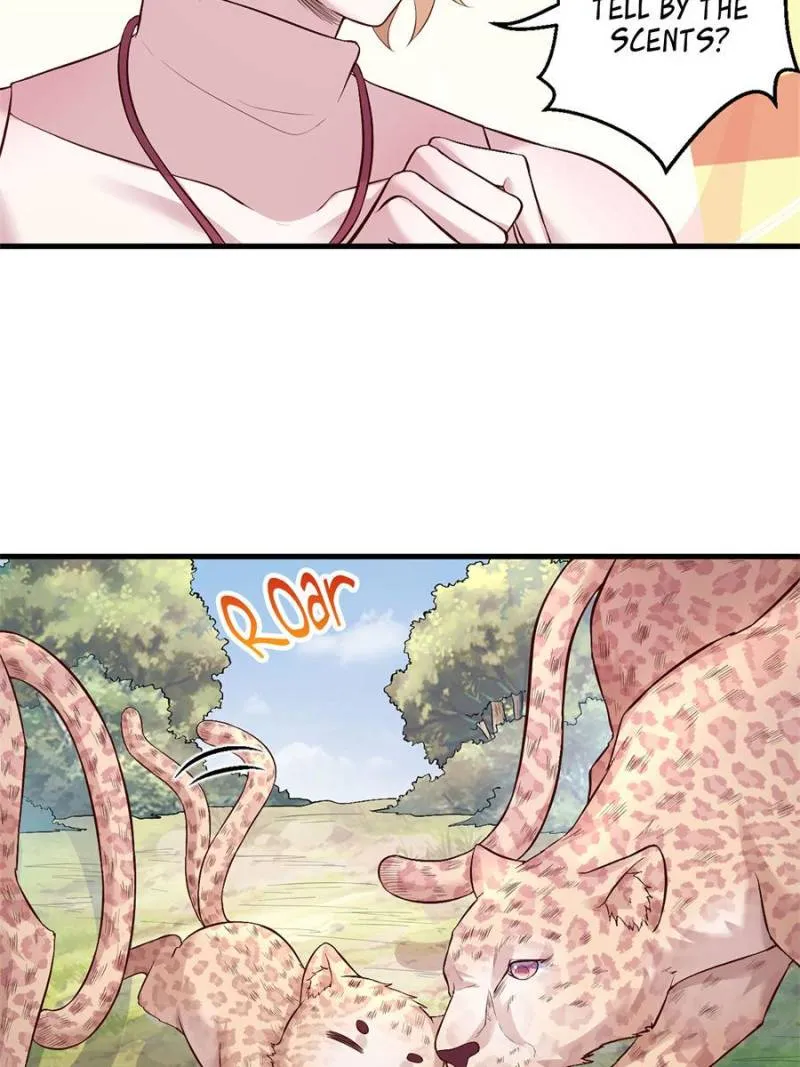 Beauty and the Beasts Zinmanga X Chapter 467 Page 18