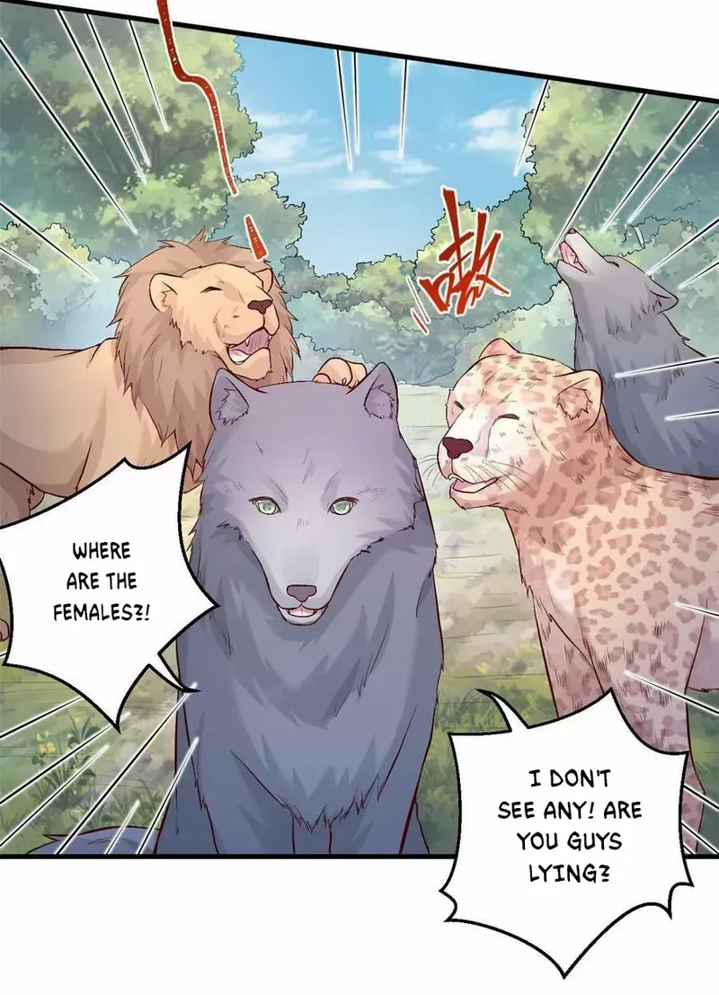 Beauty and the Beasts Zinmanga X Chapter 464 Page 20
