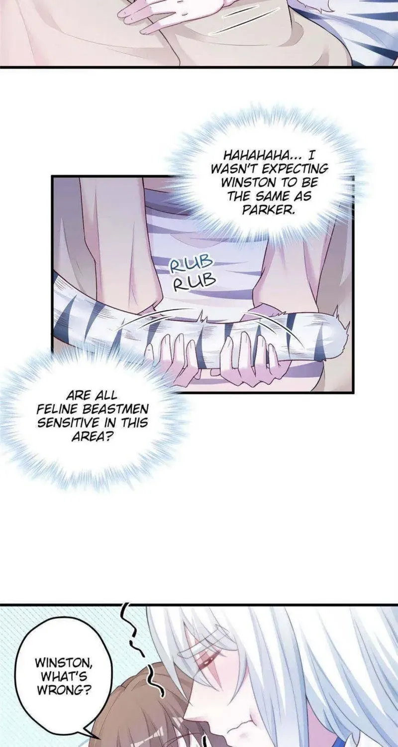 Beauty and the Beasts Zinmanga X Chapter 447 Page 19