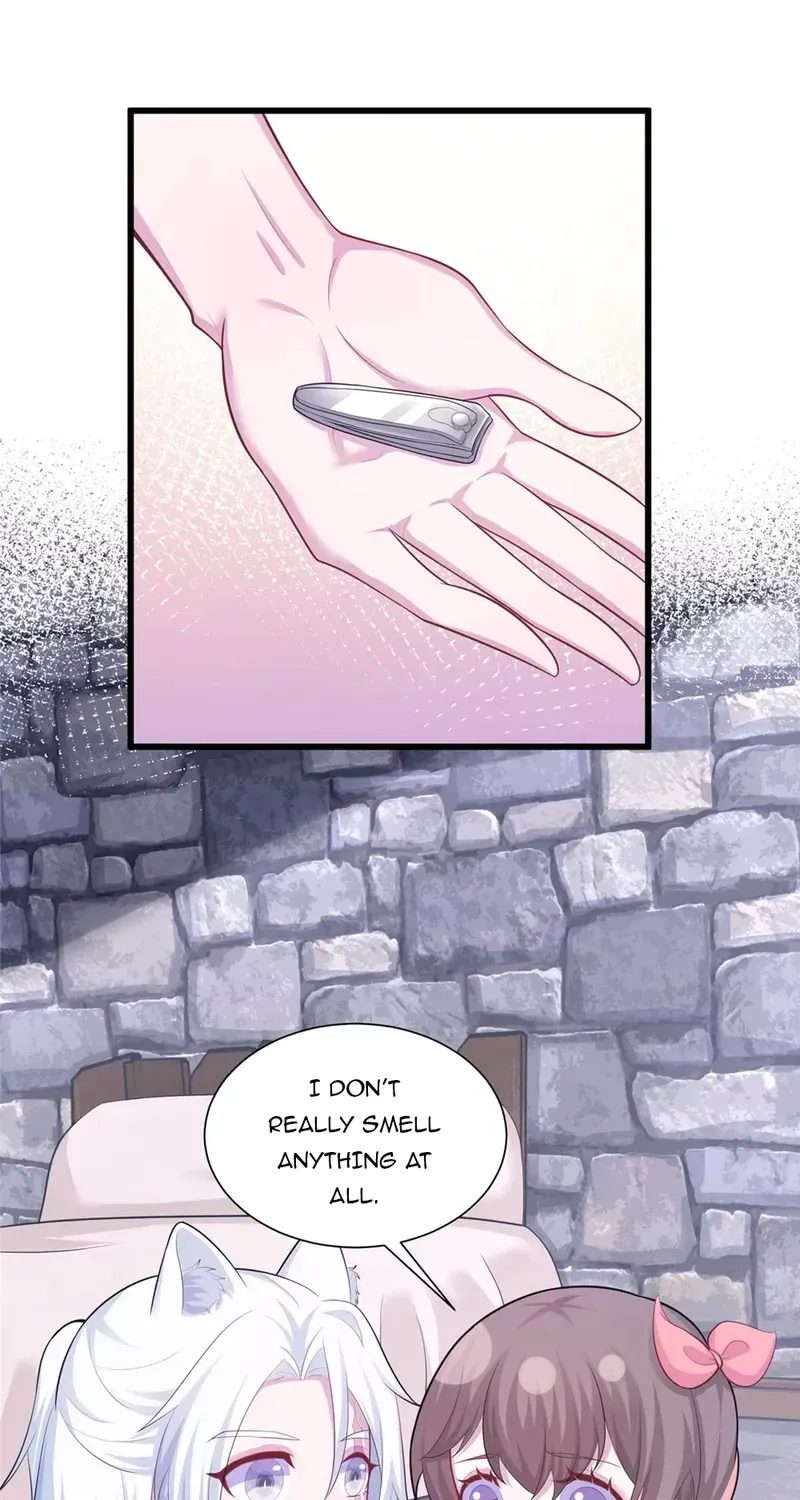 Beauty and the Beasts Zinmanga X Chapter 431 Page 41