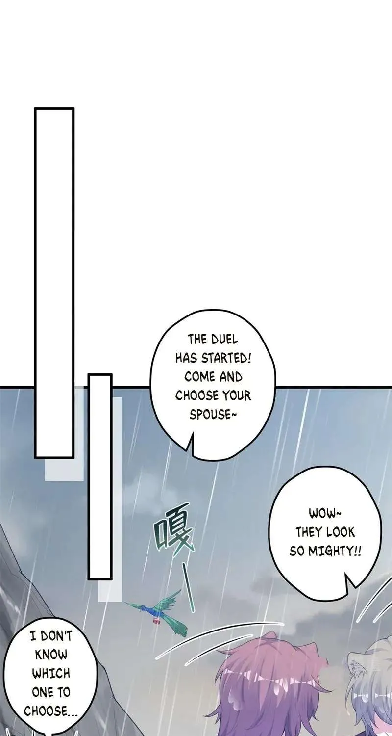 Beauty and the Beasts Zinmanga X Chapter 411 Page 13