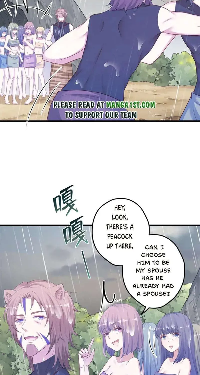 Beauty and the Beasts Zinmanga X Chapter 411 Page 14